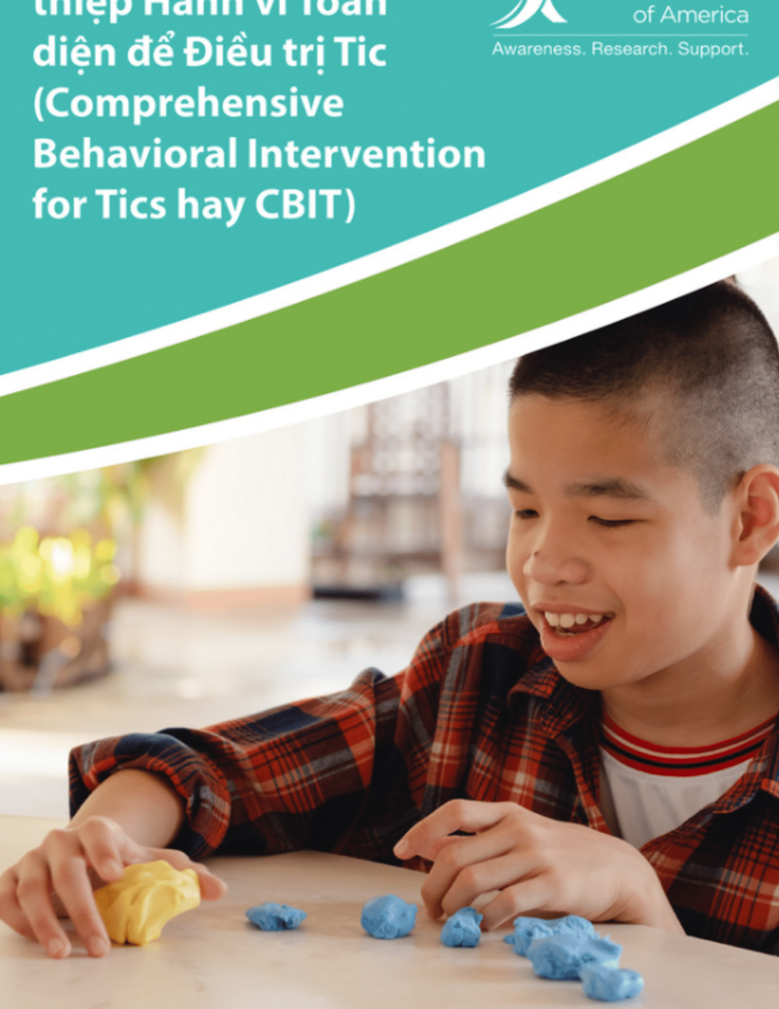CBIT Toolkit TAA Vietnamese Cover