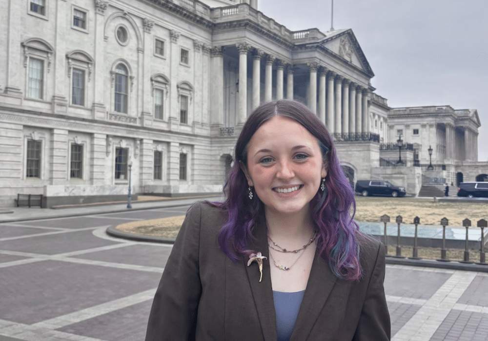 In the News Graphics