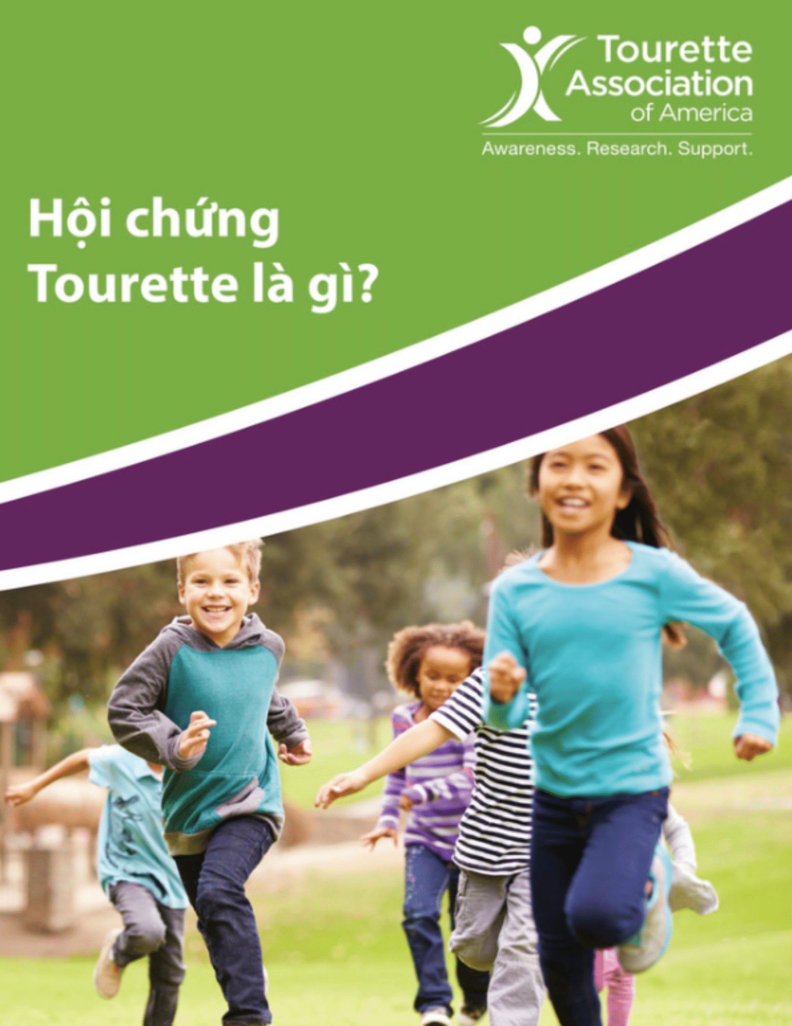 What is TS Toolkit TAA Vietnamese Cover
